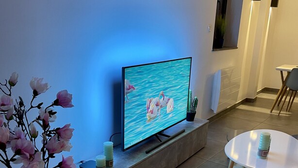 A modern living room with a flat-screen TV on a stand, a white vase with flowers, a small table with a white rug, and a glass coffee table. - Sublime atypical apartment Le Puits (Noisseville)
