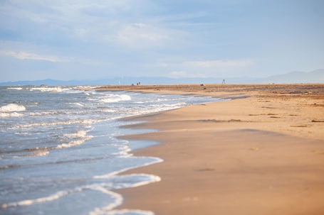 Strand. Art and Nature on the beach of Eucaliptus