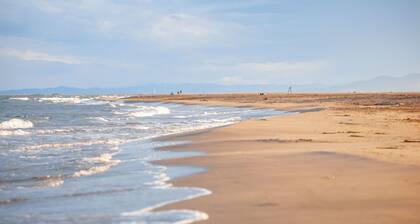 Art and Nature on the beach of Eucaliptus