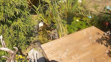 Àrea exterior de l'allotjament