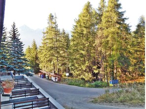 A road with a small building and a sign, surrounded by tall evergreen trees and a mountain in the background.
