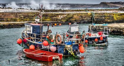 10 minutes from the local beach great surfing beach
License Nr.HI-00282-F