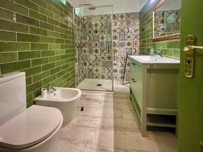 Shower, hair dryer, bidet, towels