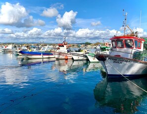 Marina - Where Style meets Comfort. Characteristic house in the authentic village Fuseta (Fuseta)