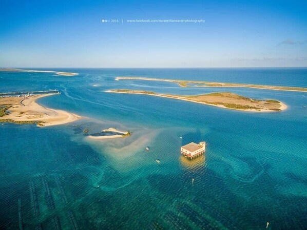 Beach - Where Style meets Comfort. Characteristic house in the authentic village Fuseta (Fuseta)