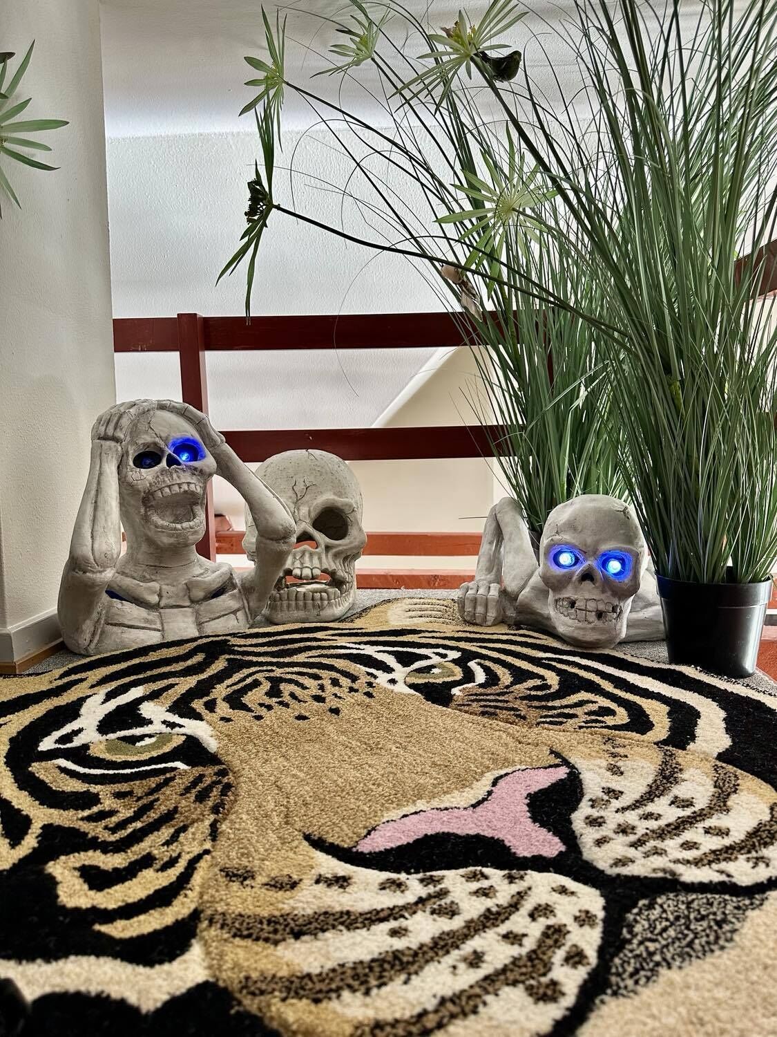 A room with a patterned carpet, a potted plant, and three skull decorations.