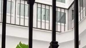 Um interior moderno com uma escadaria central, balaústres pretos e uma grande planta em vaso.