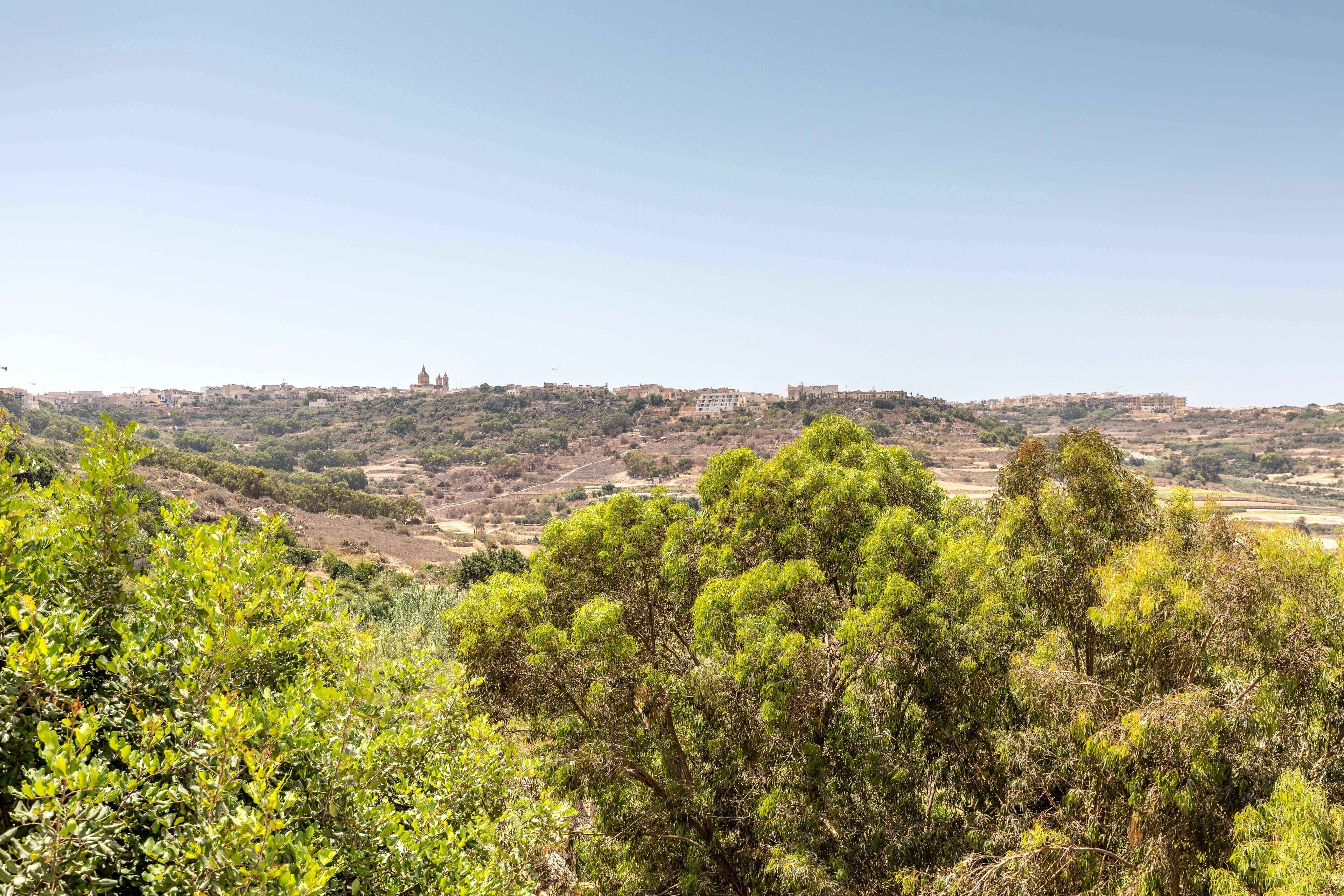 A landscape with a hilltop view of buildings, including a prominent church, and dense green foliage in the foreground.
