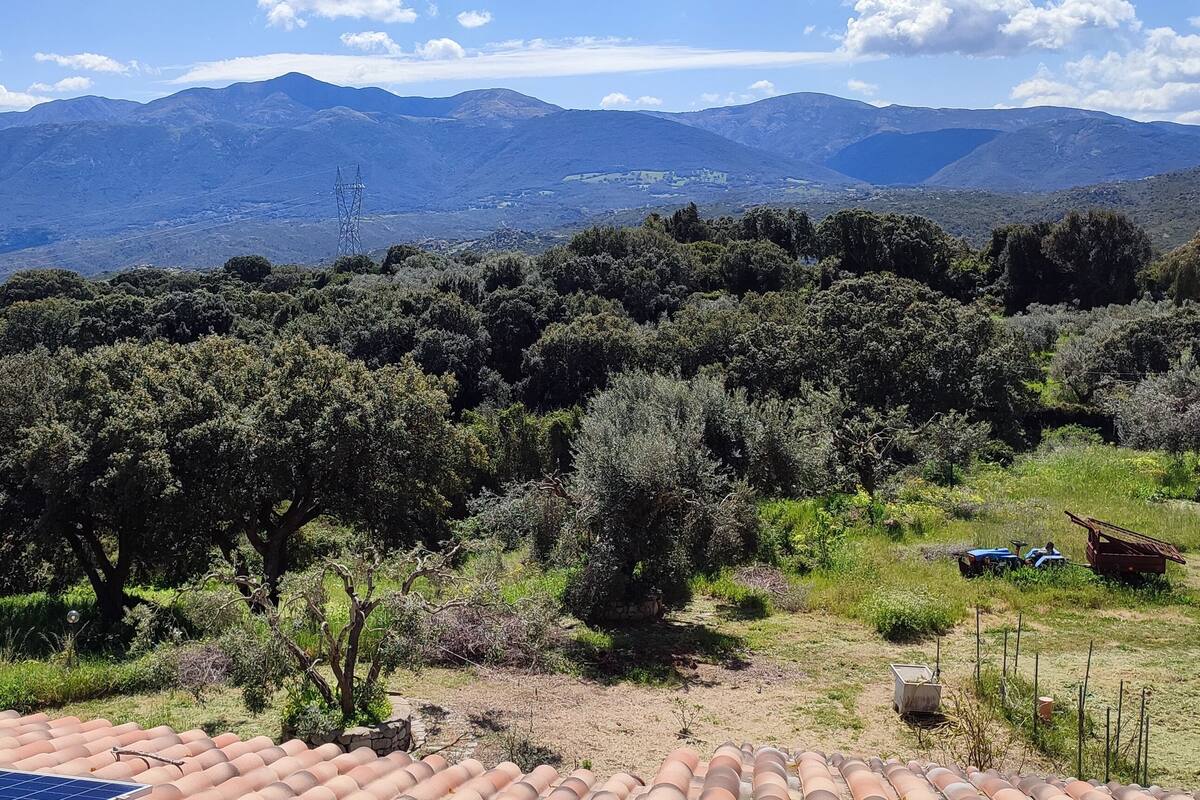 Kamar Tradisional | Pemandangan gunung