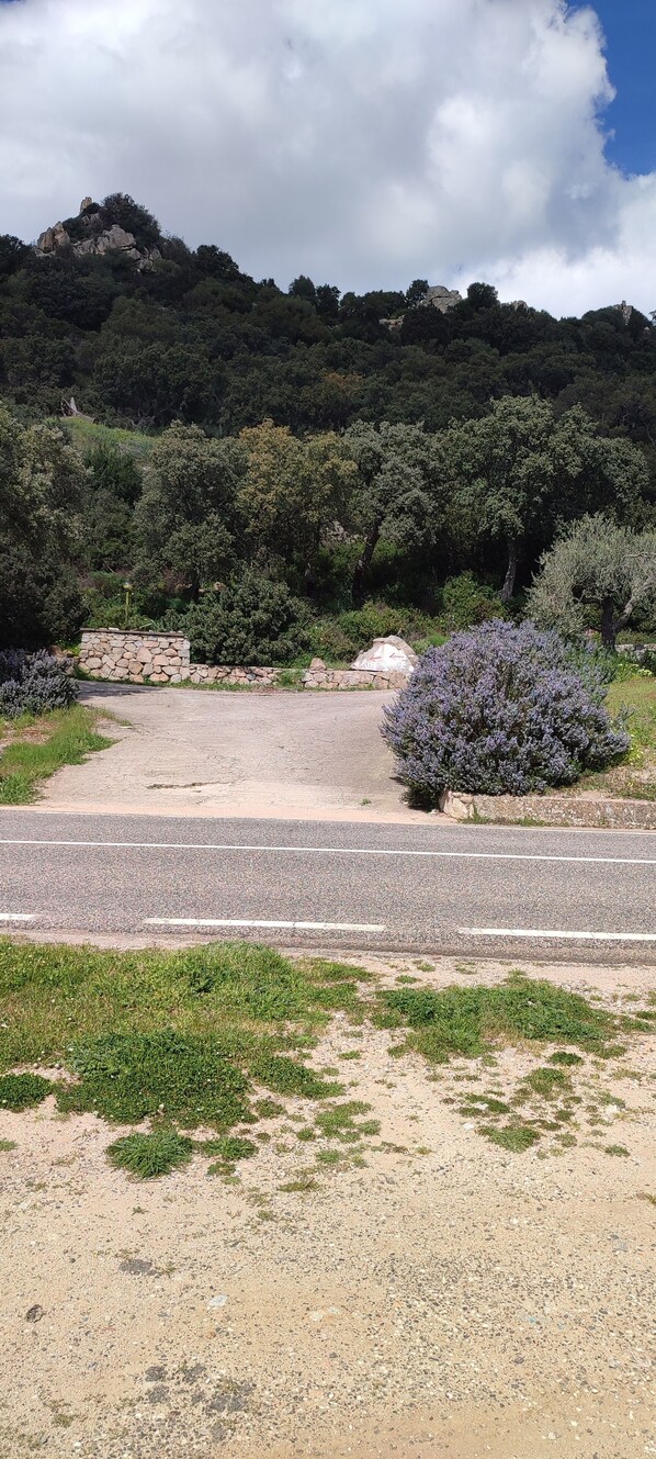 A paved road with a stone wall and a bush with purple flowers. - Il nuraghe (Arbus)