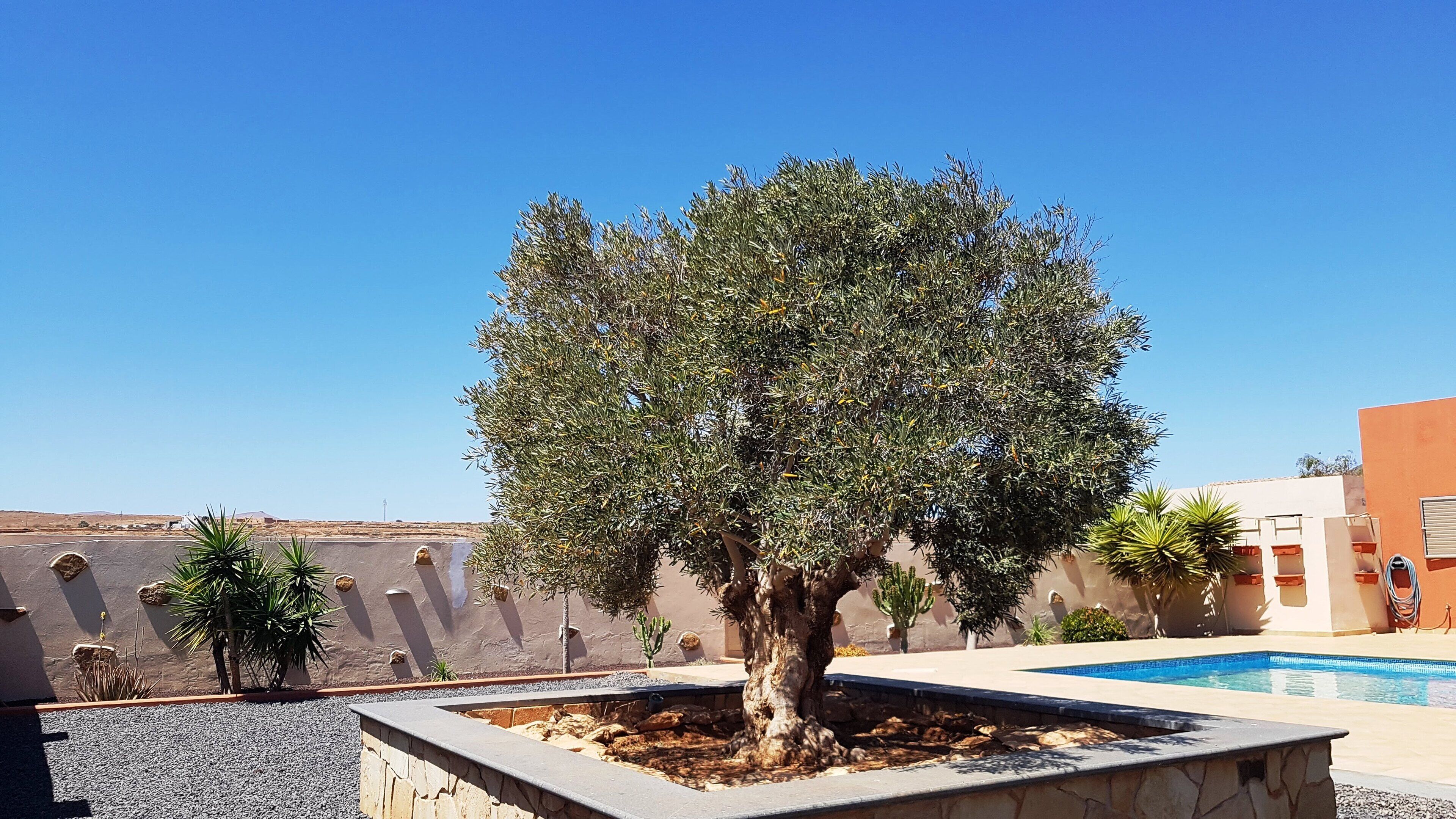 Alberca al aire libre 