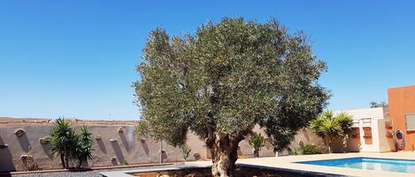 Alberca al aire libre