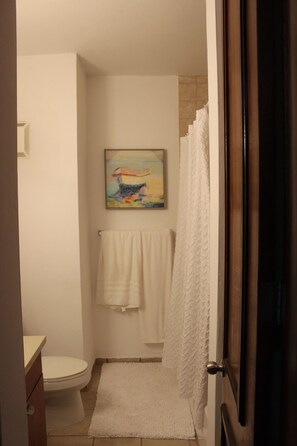 Shower, jetted bath, bidet, towels