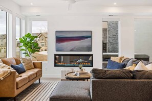 TV, fireplace, video games