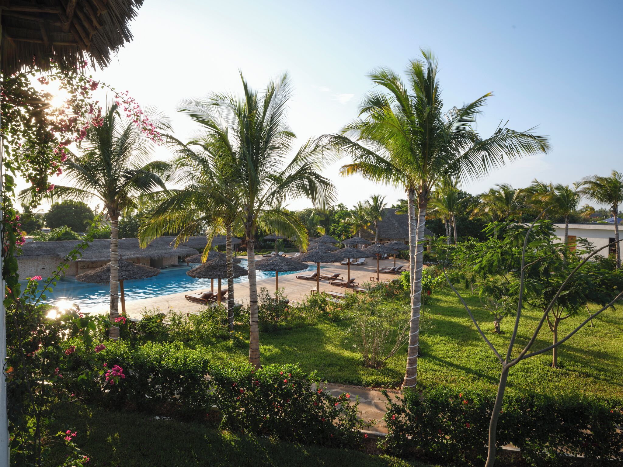 A resort pool area with palm trees, lounge chairs, and a clear view of the water.