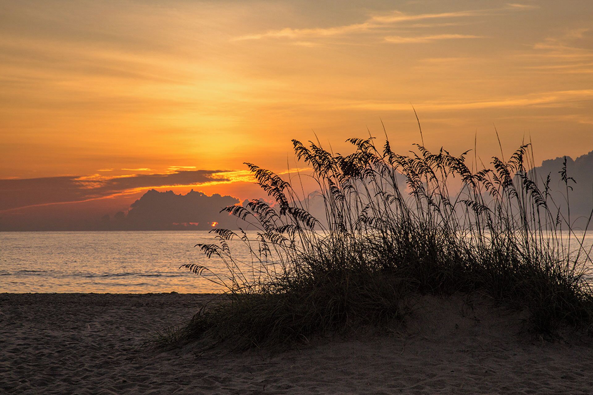 Een strand met hoge grasvegetatie voor en een ondergaande zon op de achtergrond.