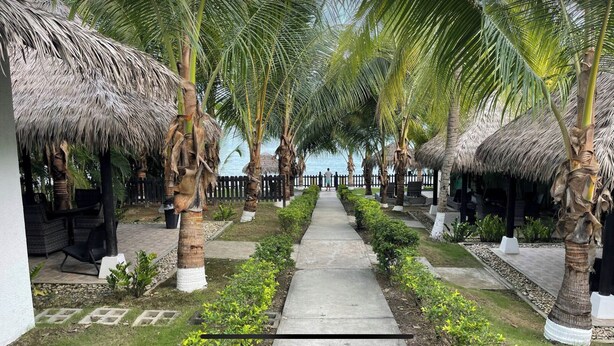 Un sentiero fiancheggiato da palme e costruzioni con tetti di paglia, che conduce a una spiaggia.