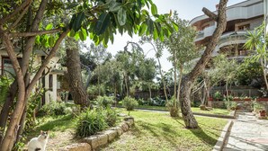 A garden with a stone pathway, various plants, and a cat. - Glyfada 2 bedrooms 4 persons apartment by MPS (Γλυφάδα)