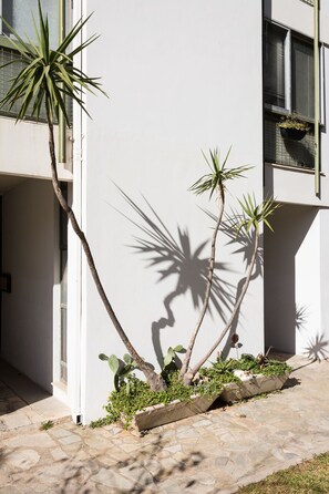 Detalle exterior
