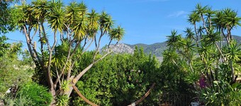 Green setting at Cap Brun (Toulon, Var) Villa with spa pool close to beaches. 