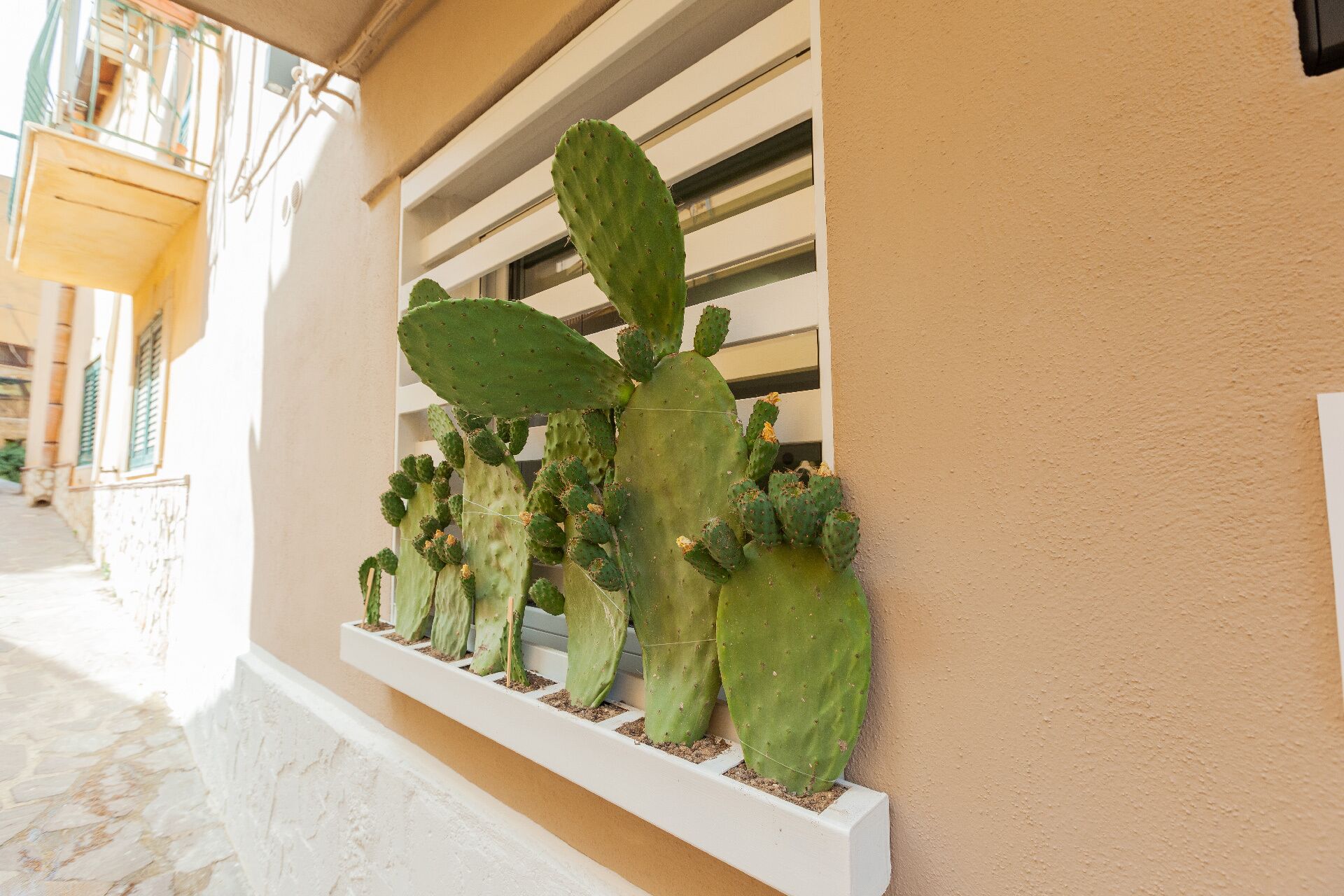 Photo - Chianu Palì - Guest Rooms camera Agrigento