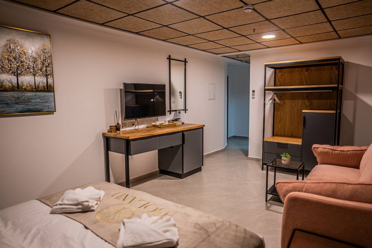 A modern hotel room with a bed, a desk with a TV, a wardrobe, and a small table with a plant.