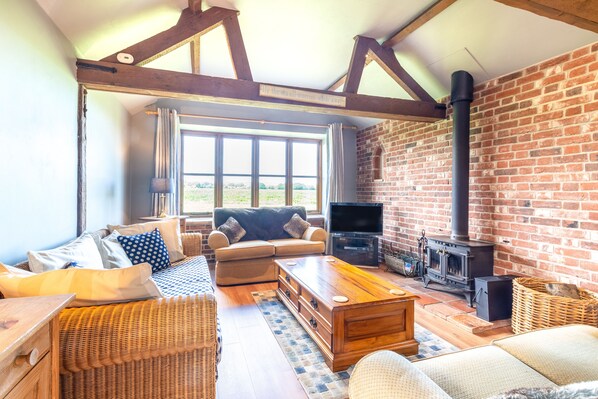 TV, fireplace, DVD player, books