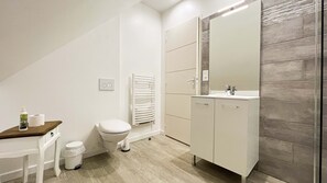 A modern bathroom with a toilet, a sink, a mirror, and a shower. - LARGE HOUSE No. 6 (Ferrières-la-Verrerie)