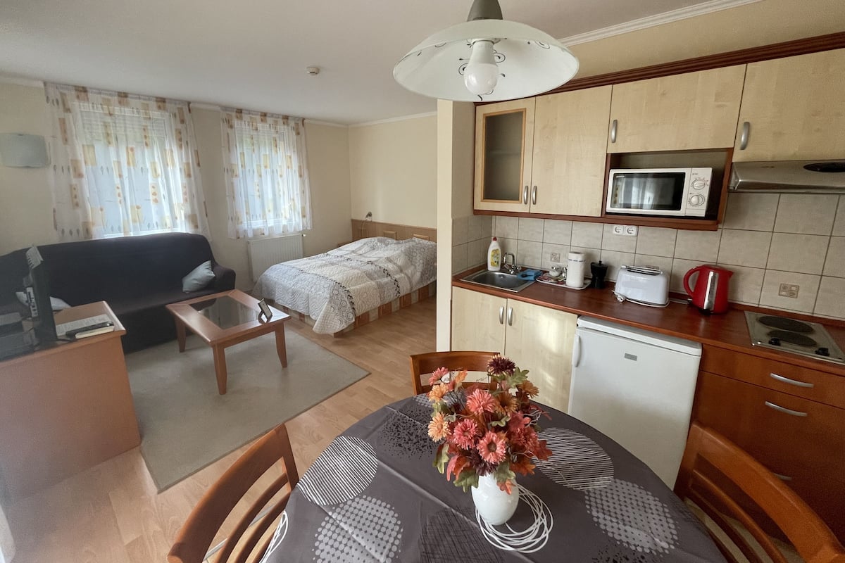 Comfort-studio | 1 makuuhuone, tallelokero huoneessa, ilmainen Wi-Fi, vuodevaatteet