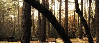 Peaceful Horse Farm Retreat — bring your dogs!