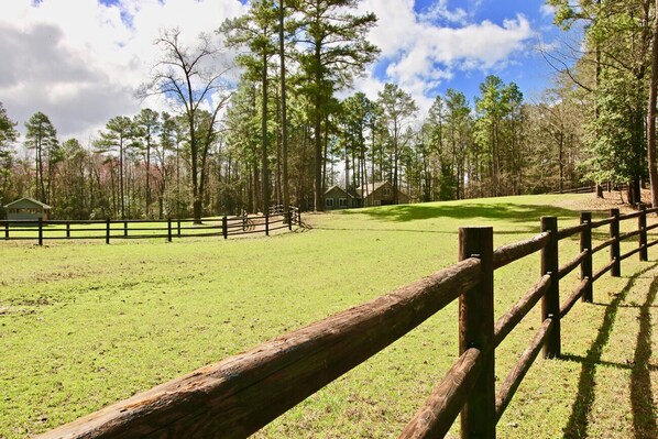 Àrea exterior de l'allotjament