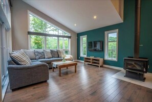 TV, fireplace, books, stereo