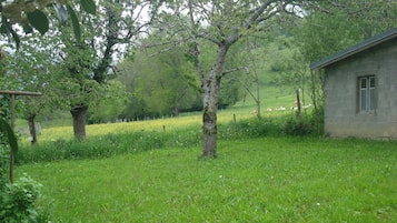 Áreas de la propiedad