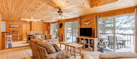 TV, DVD player, books, video library