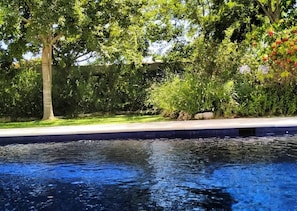 Relax by the serene pool surrounded by lush greenery and a well-maintained lawn.