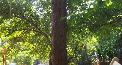 Casa Sierra: Starlink, AC & Superbly Located!