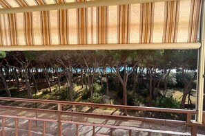 施設の敷地