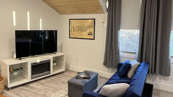 Smart TV, fireplace, books