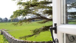 A stone wall with a wooden gate, a stone wall with daffodils, and a green field with sheep. - Longlands Farm Cottage (Grange-over-Sands)