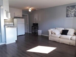 Living area - Short Term Housing #5 Travel Nurse w/pets ECU (Greenville)