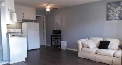 Short Term Housing #5 Travel Nurse w/pets ECU