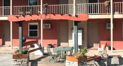 Short Term Housing #5 Travel Nurse w/pets ECU