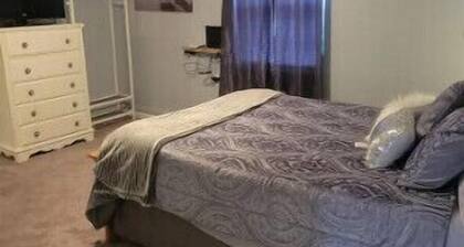 Travel Nurse Housing #7 River Front ECU w/pets