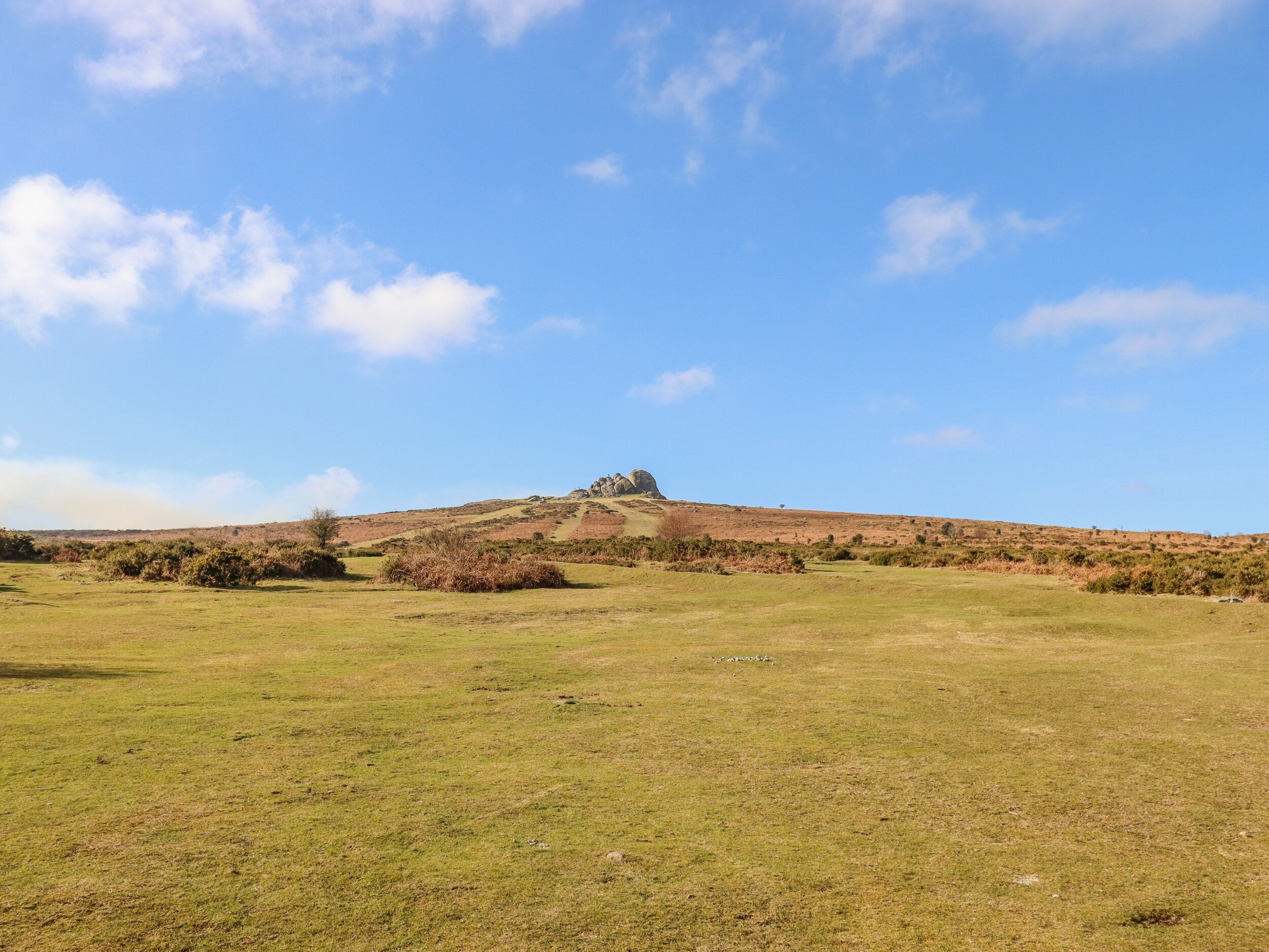 A grassy field with a hill in the distance and a clear blue sky.