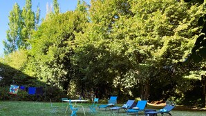Un espacio al aire libre con sillas azules y una mesa, rodeado de frondosos árboles verdes.