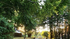 A gravel path leading through a park with trees and a fence. - 17th century property between the pink granite coast & Lannion, Studio 27m2  (Saint Quay Perros)