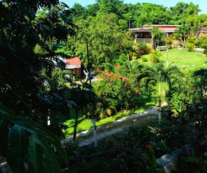 Un jardín exuberante con un sendero que lleva a una casa de techo rojo.