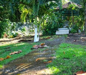 Terrace/patio - Areca Palms (Port Antonio)
