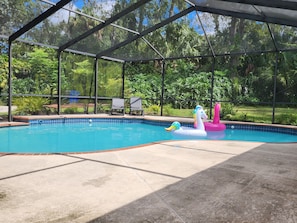 Outdoor pool, a heated pool - Shady Oaks Estate near Tampa (Brandon)