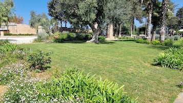 Jardin